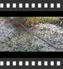 ../pictures/Beaver Marsh/DSCF9060_1_small_icon.jpg